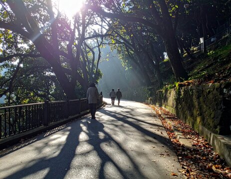 Garam Sadak is a warm, scenic walking path in Dalhousie known for peaceful strolls and natural charm.


