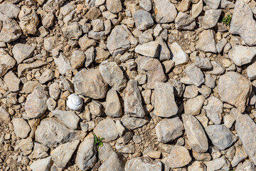 Rocky bottom of a dry lake on the Spanish island of Mallorca