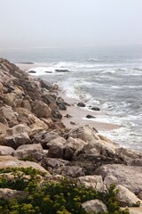 Rocks at low tide. Landscape of a wild rocky beach. Reefs. Sand. Texture surfaces. Close-up. Contrasting background. Poster. Wallpaper. Poster