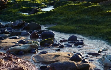 Rocks at low tide. Landscape of a wild rocky beach. Reefs. Sand. Texture surfaces. Close-up. Contrasting background. Poster. Wallpaper. Poster