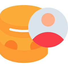 Database Admin Console Icon