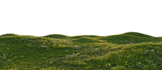 Hills with grass on a transparent background. 3D rendering.