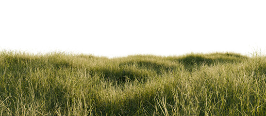 Grassy Field Under Clear Sky. 3D redering.