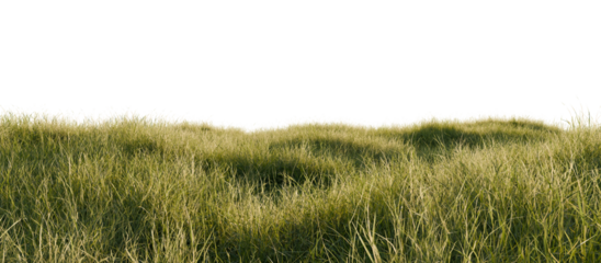 Grassy Field Under Clear Sky. 3D redering.