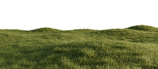 Hills with grass on a transparent background. 3D rendering.