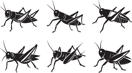 set of grasshopper silhouette, black and white silhouette, vector and illustration © 69creativedesigner
