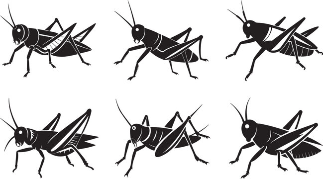 set of grasshopper silhouette, black and white silhouette, vector and&nbsp;illustration