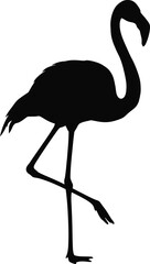 Flamingo Standing One Leg Silhouette Vector