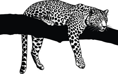 Leopard on Tree Branch Silhouette Vector Art