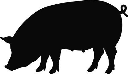 Pig Eating Ground Silhouette Vector Art