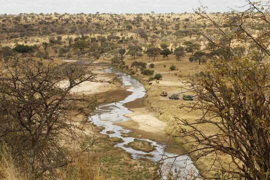 Paesaggio con fiume in uno dei parchi nazionali della Tanzania,Africa.