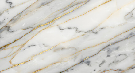 Luxurious White Marble with Gold Veins Texture