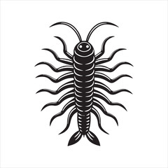 caecilia tentaculata  vector art illustration