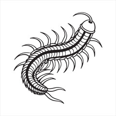 Obraz premium caecilia tentaculata vector art illustration