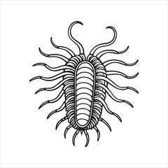 caecilia tentaculata  vector art illustration