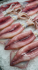 Freshly Prepared Squid Tubes and Tentacles Displayed on Ice in a Seafood Market
