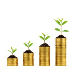 Stacks of coins with plants growing on top isolated on white background