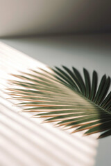 Obraz premium Delicate frond shadow play on textured surface evoking serene minimalist aesthetic