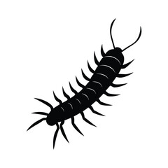Crawling Centipede Minimal Vector Silhouette