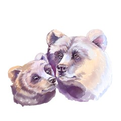 Watercolor illustration of a mother bear head closely snuggled with her baby cub, gentle expression, soft fur, loving wildlife scene, perfect for nursery, kids design, and forest themes