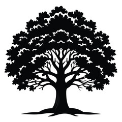 Obraz premium Isolated silhouette of a large, leafy oak tree presents against white space