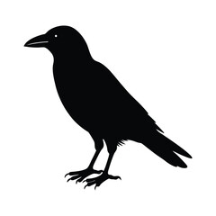 Perched Raven Vector Silhouette