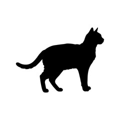 Domestic cat silhouette vector flat illustration design.