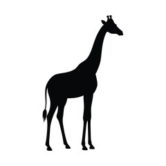 Tall Giraffe Vector Silhouette