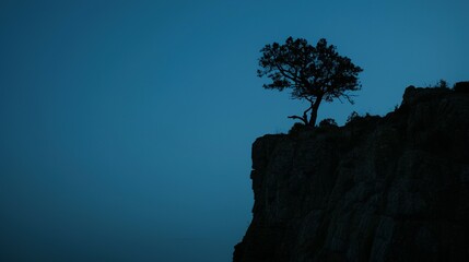 Silhouette of a tree atop a dark cliff at twilight.