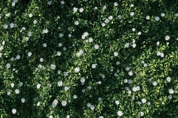 The green world of moss