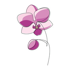 Hand drawn pink orchid flower vector. Linear icon. Line continuous drawing. Floral design, botanical print, card, wall art poster, logo, sign, doodle, symbol. Abstract cartoon plant illustration