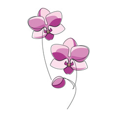 Hand drawn pink orchid flower vector. Linear icon. Line continuous drawing. Floral design, botanical print, card, wall art poster, logo, sign, doodle, symbol. Abstract cartoon plant illustration