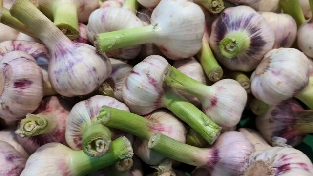 Heads of fresh garlic on at a farmers market or in a hypermarket