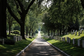 Obraz premium Arlington Cemetery: A National Memorial Honoring American Military Heroes in Washington
