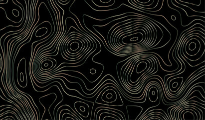 Abstract black and white topographic contours lines of mountains. Topography map art curve drawing. vector illustration. Modern abstract art with swirling black and white lines