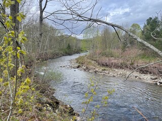 Springtime river bend