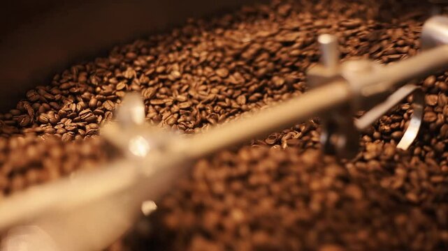 In drum of roaster blades slowly rotate to ensure that coffee beans are roasted evenly. Coffee industry is harmful to environment in process of growing and processing coffee