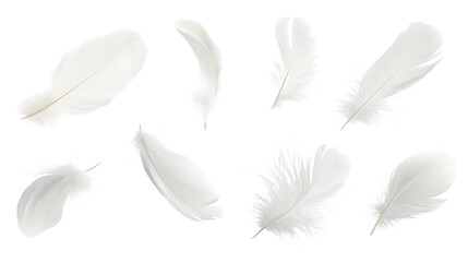 Ethereal White Feathers Floating Gracefully in Air