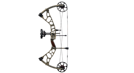 Compound Bow