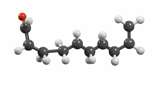 3D model of a decanoic acid molecule organic chemistry science education research illustration