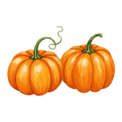 pumpkin on white background