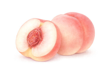 桃のイラスト 水彩 白桃