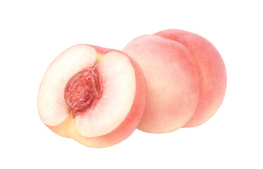 桃のイラスト 水彩 白桃