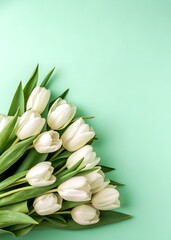 Top view a bouquet of white tulips on green background