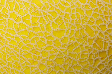 Macro cantaloupe peel texture,The texture of the peel of a yellow melon close-up. Selective focus
