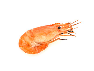 Grilled prawn ,seafood on white background