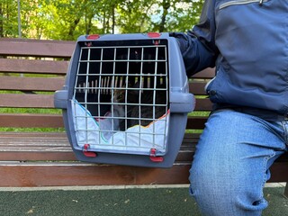 An elderly retired man holds a cat in a carrier. Pet transportation, traveling with a pet. A close friend of an elderly man