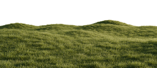 Hills with grass on a transparent background. 3D rendering.