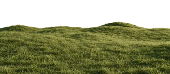 Fototapete Wartezimmer Hills with grass on a transparent background. 3D rendering.  © snesivan