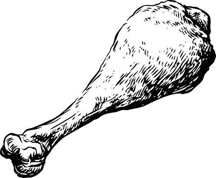 Hand-drawn black and white illustration of a turkey leg with detailed texture. Vector illustration